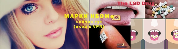 кокс Алексин