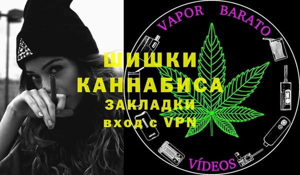 прущий лед Алзамай