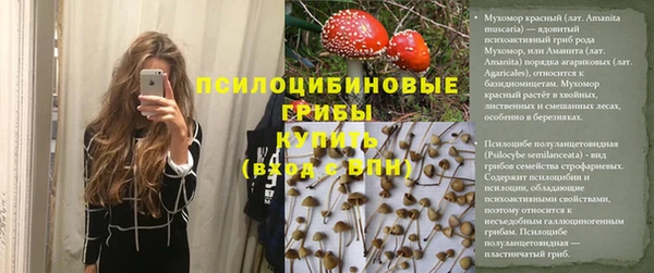 кокс Алексин
