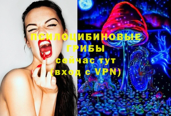 прущий лед Алзамай