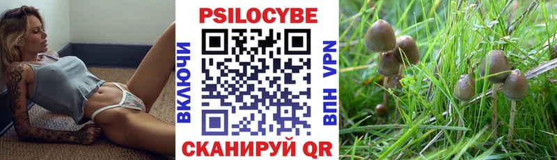 даркнет сайт Краснообск Галлюциногенные грибы Magic Shrooms